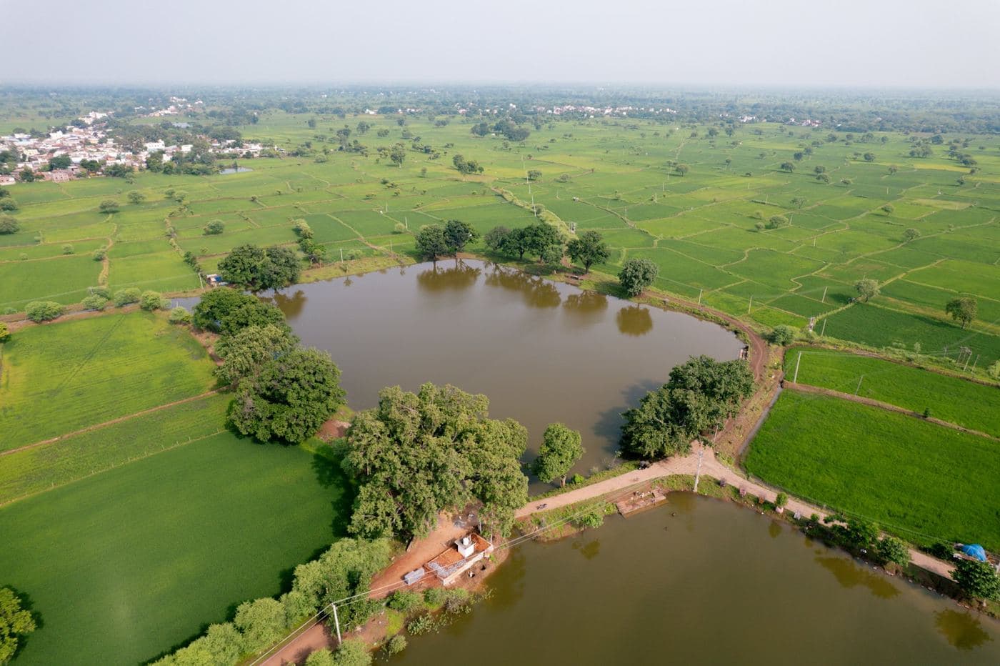 Aerial view of small farm plots around a village pond