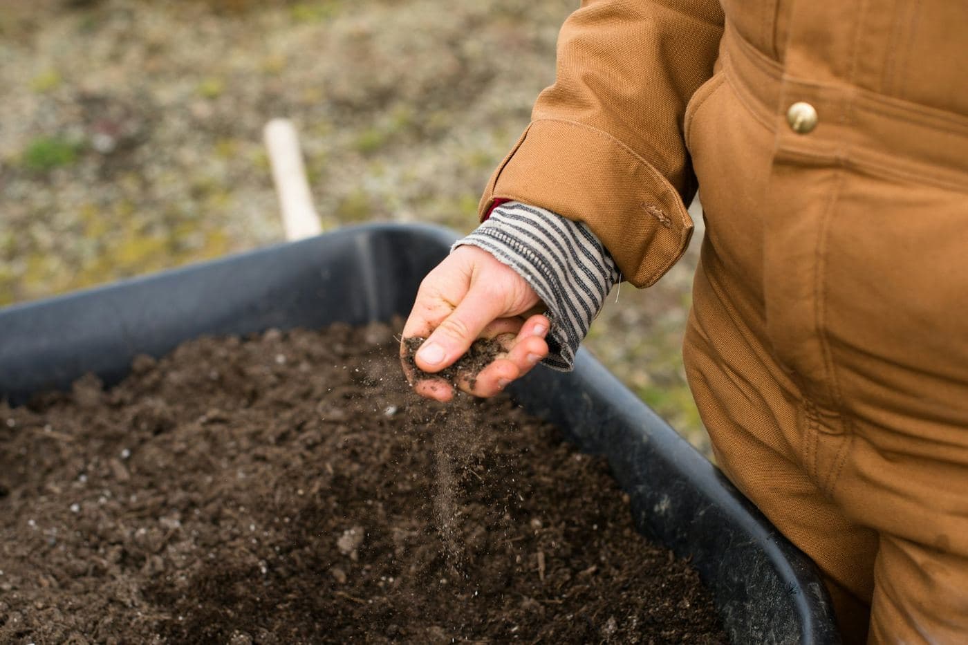 A soil sample being prepared in a tray